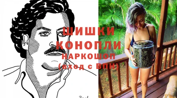 шишки Богородицк