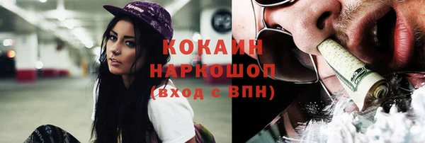шишки Богородицк