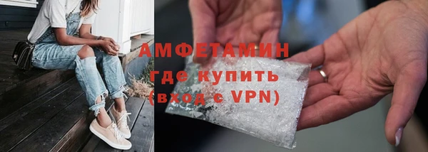 шишки Богородицк