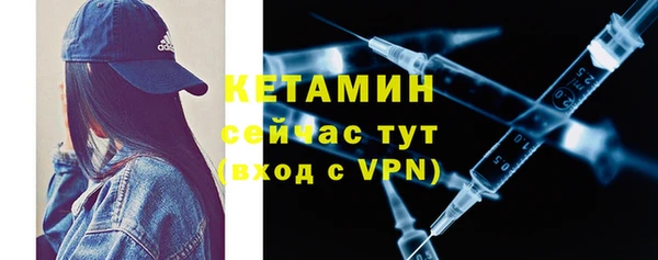 шишки Богородицк