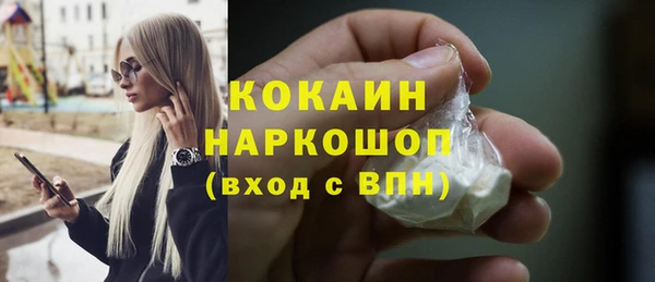 твердый Богданович