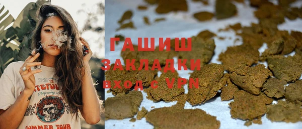 индика Беломорск