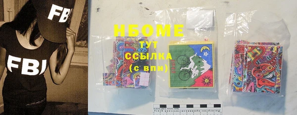шишки Богородицк